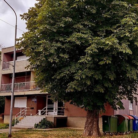 Tp Apartman 1 Križevci Eksteriør bilde